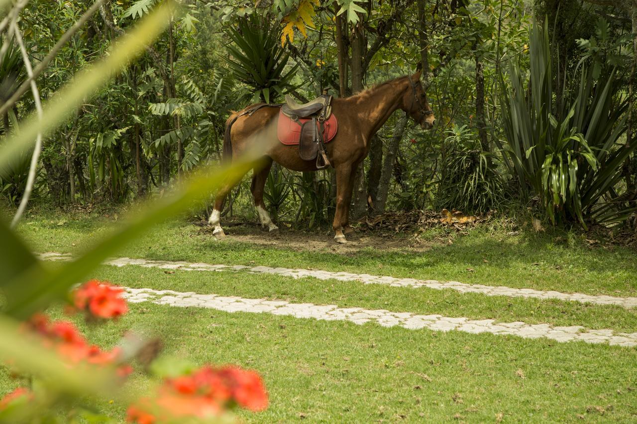 Estancia De La Campina Nono Buitenkant foto